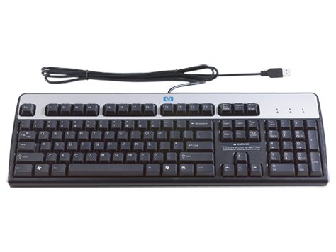 HP DT528A#ABM Wired Standard Keyboard