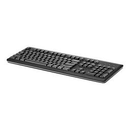HP PS/2 Keyboard (QY774AA) Wired Standard Keyboard