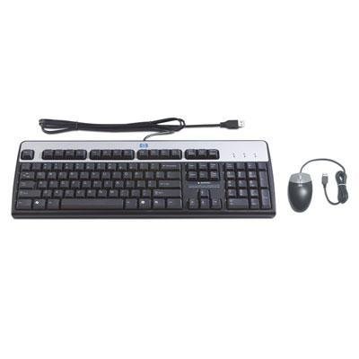 HP RC465AA#ABA Wired Standard Keyboard With Optical Mouse