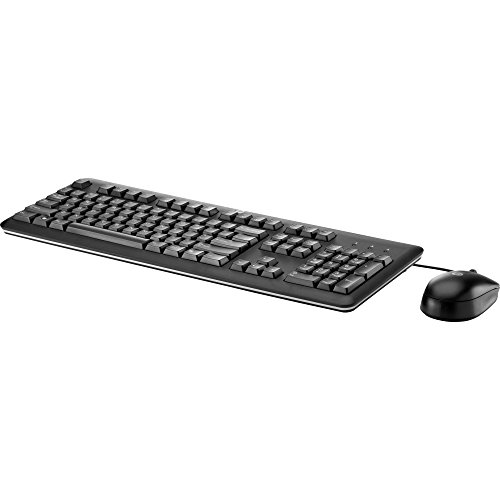 HP B1T09AT#ABA Wired Standard Keyboard With Laser Mouse