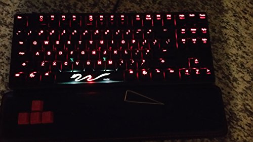 Ducky DK9087 Shine 3 TKL White LED Backlit (Blue Cherry MX) Wired Standard Keyboard