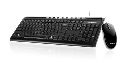 Gigabyte GK-KM6150 Wired Standard Keyboard With Optical Mouse