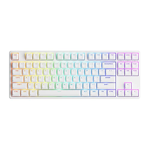 Akko 5087S Shine-Through RGB Wired Standard Keyboard