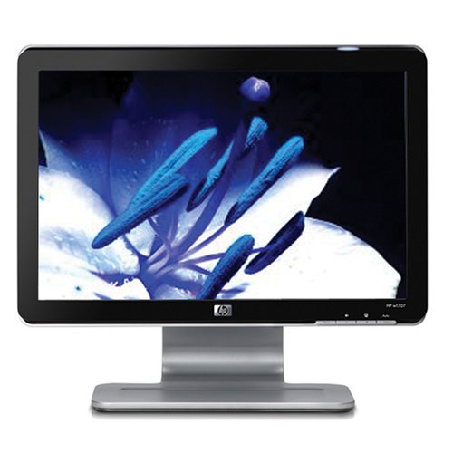 HP W1707 17.0" 1440 x 900 60 Hz Monitor