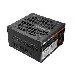 Cougar GEX X2 1000 W 80+ Gold Certified Fully Modular ATX Power Supply