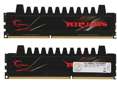 G.Skill Ripjaws 4 GB (2 x 2 GB) DDR3-1333 CL7 Memory