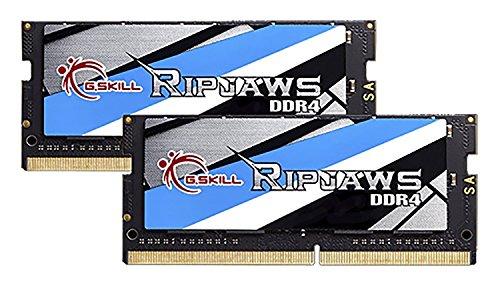 G.Skill Ripjaws 16 GB (2 x 8 GB) DDR4-3000 SODIMM CL16 Memory