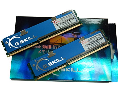 G.Skill F3-10600CL8D-2GBHK 2 GB (2 x 1 GB) DDR3-1333 CL8 Memory