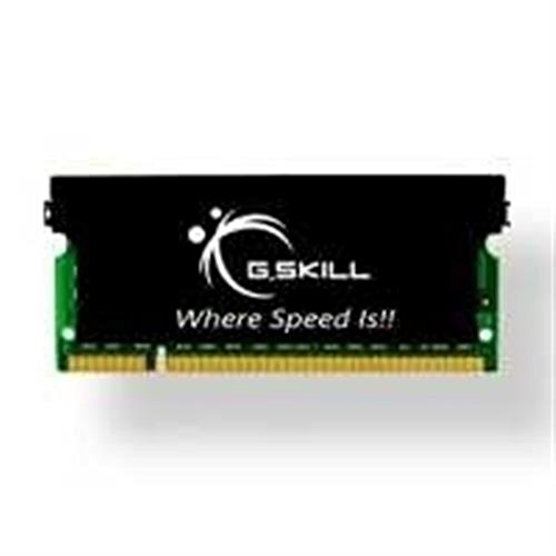 G.Skill F2-5300CL5S-2GBSK 2 GB (1 x 2 GB) DDR2-667 SODIMM CL5 Memory