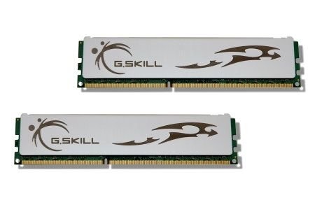 G.Skill ECO 8 GB (2 x 4 GB) DDR3-1600 CL8 Memory