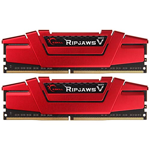G.Skill Ripjaws V 32 GB (2 x 16 GB) DDR4-3000 CL15 Memory