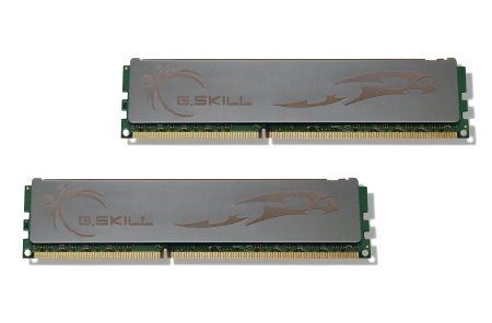 G.Skill ECO 4 GB (2 x 2 GB) DDR3-1600 CL8 Memory