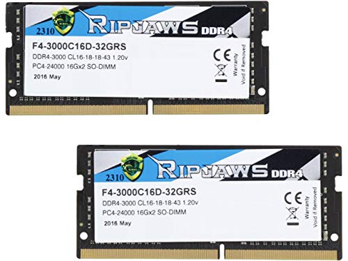 G.Skill Ripjaws 32 GB (2 x 16 GB) DDR4-3000 SODIMM CL16 Memory