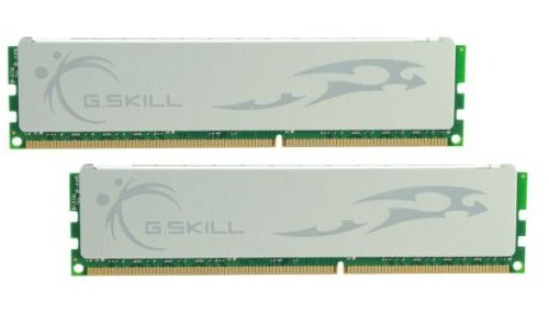 G.Skill ECO 4 GB (2 x 2 GB) DDR3-1333 CL8 Memory