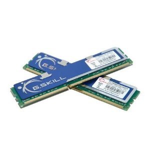 G.Skill F3-10600CL8D-4GBHK 4 GB (2 x 2 GB) DDR3-1333 CL8 Memory
