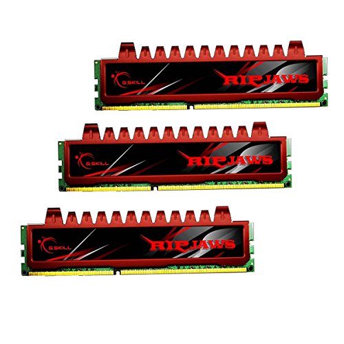 G.Skill Ripjaws 12 GB (3 x 4 GB) DDR3-1600 CL9 Memory