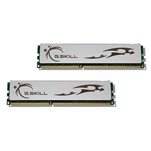 G.Skill ECO 4 GB (2 x 2 GB) DDR3-1333 CL7 Memory