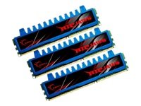 G.Skill Ripjaws 12 GB (3 x 4 GB) DDR3-1600 CL8 Memory