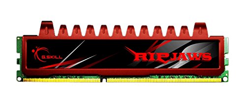 G.Skill Ripjaws 4 GB (1 x 4 GB) DDR3-1066 CL7 Memory