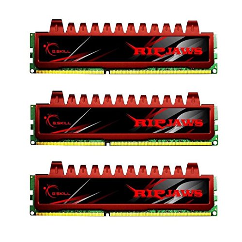G.Skill Ripjaws 12 GB (3 x 4 GB) DDR3-1333 CL9 Memory