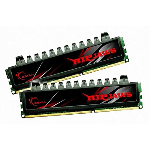 G.Skill Ripjaws 8 GB (2 x 4 GB) DDR3-1333 CL7 Memory
