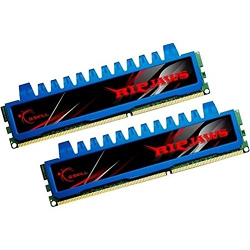 G.Skill Ripjaws 4 GB (2 x 2 GB) DDR3-1600 CL8 Memory