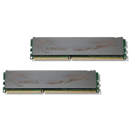 G.Skill ECO 4 GB (2 x 2 GB) DDR3-1600 CL7 Memory