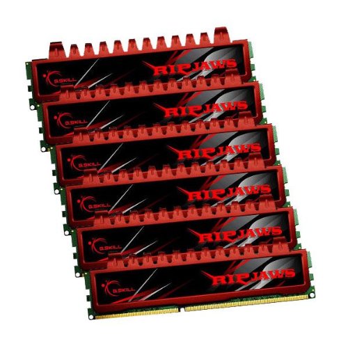 G.Skill Ripjaws 24 GB (6 x 4 GB) DDR3-1600 CL9 Memory