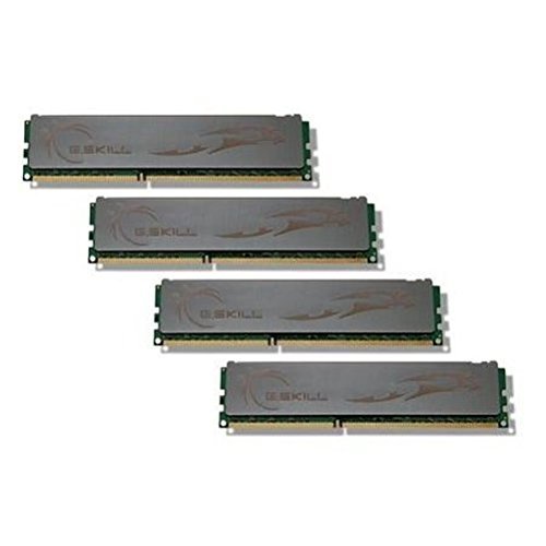 G.Skill ECO 8 GB (4 x 2 GB) DDR3-1600 CL9 Memory