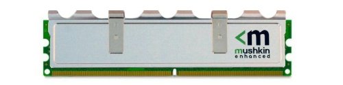 Mushkin 991555 2 GB (1 x 2 GB) DDR2-667 CL5 Memory