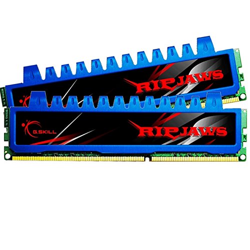 G.Skill Ripjaws 8 GB (2 x 4 GB) DDR3-1600 CL8 Memory