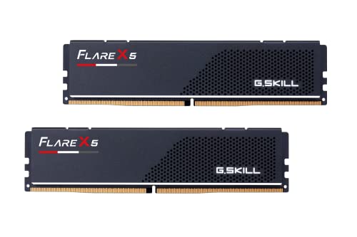 G.Skill Flare X5 96 GB (2 x 48 GB) DDR5-5600 CL40 Memory
