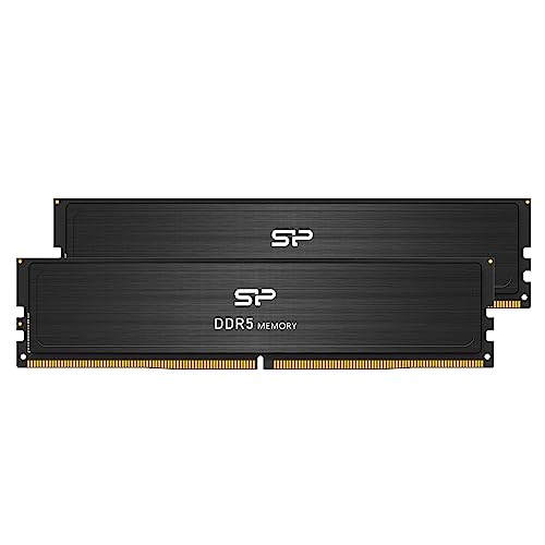 Silicon Power SP064GBLVU560FD2AD 64 GB (2 x 32 GB) DDR5-5600 CL46 Memory