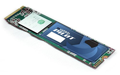 Mushkin PILOT 120 GB M.2-2280 PCIe 3.0 X4 NVME Solid State Drive