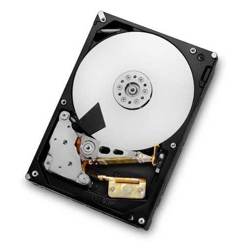 Hitachi Ultrastar 7K3000 2 TB 3.5" 7200 RPM Internal Hard Drive