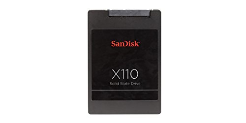 SanDisk X110 64 GB mSATA Solid State Drive