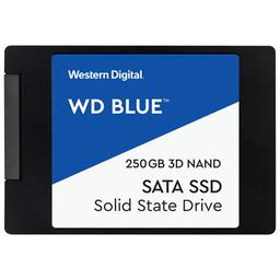 Western Digital Blue 250 GB 2.5" Solid State Drive