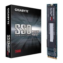 Gigabyte GP-GSM2NE8256GNTD 256 GB M.2-2280 PCIe 3.0 X2 NVME Solid State Drive