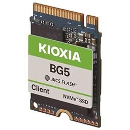 KIOXIA BG5 256 GB M.2-2230 PCIe 4.0 X4 NVME Solid State Drive